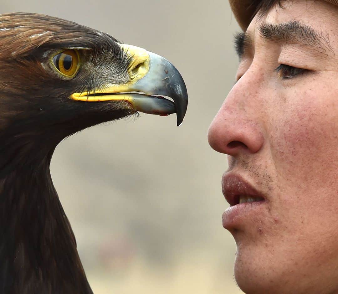 AFP通信さんのインスタグラム写真 - (AFP通信Instagram)「AFP Photo 📷 Vyacheslav Oseledko - A Kyrgyz berkutchi (eagle hunter) holds his bird, a golden eagle, during the hunting festival "Salburun" in the village of Tuura-Suu, near Issyk-Kule lake, some 280 kilometers from Bishkek, Kyrgyzstan, on February 23, 2021.⁣ .⁣ Salburun is a traditional kind of hunt in Kyrghyzstan and in Central Asia. The festival involves four disciplines including falconry, archery and mounted archery.⁣ .⁣ #Bird  #Birds #GoldenEagle #Eagle #Salburun」2月28日 1時53分 - afpphoto