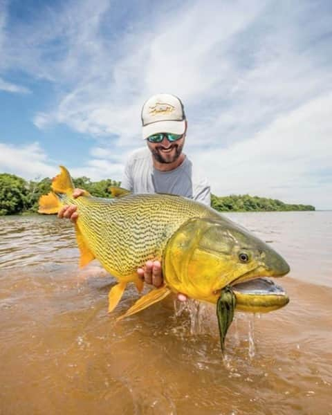 Costa Sunglassesのインスタグラム：「High noon gold rush. 📷: @theflyfishingnation #SeeWhatsOutThere」