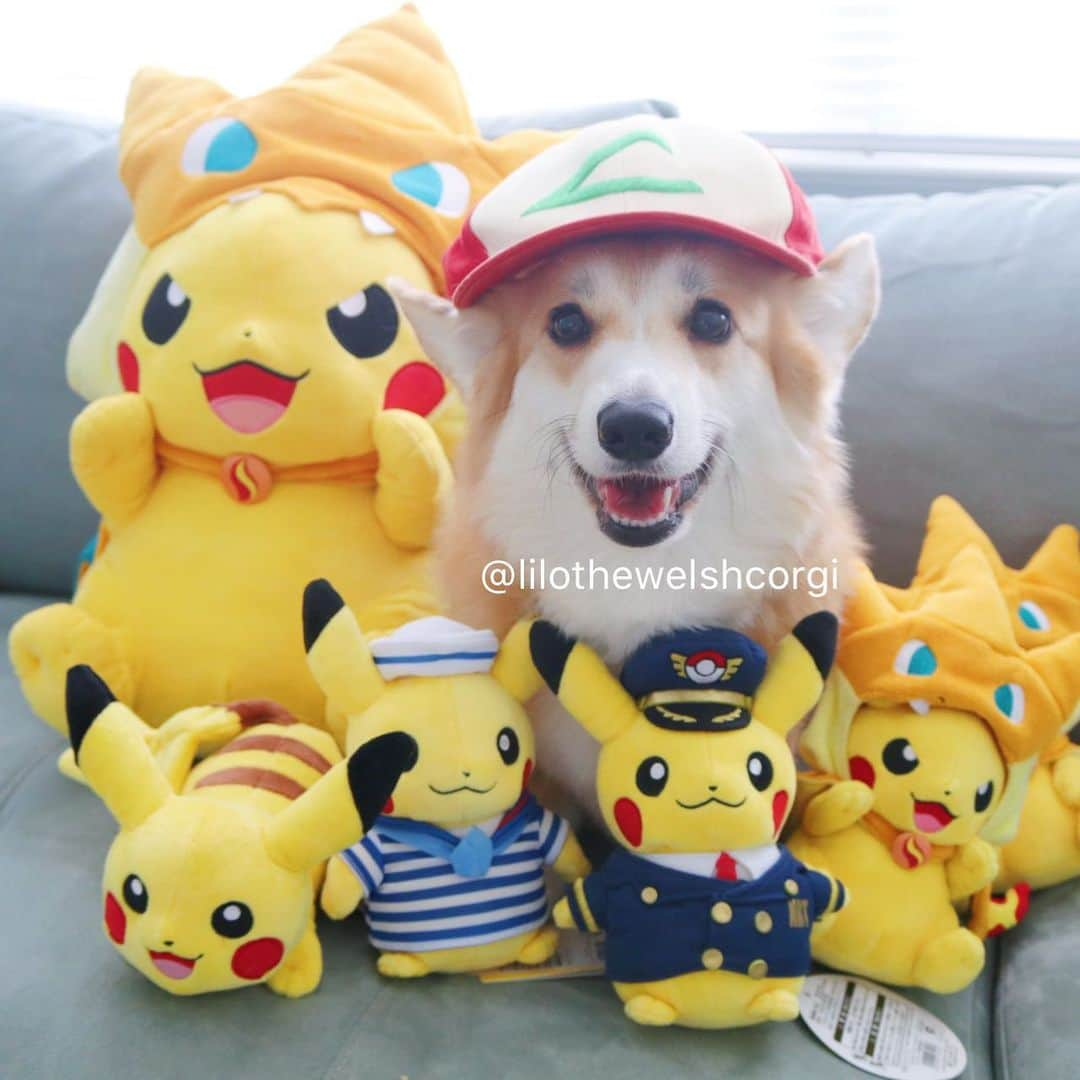 Liloさんのインスタグラム写真 - (LiloInstagram)「Happy 25th birthday Pokemon... can you spot the intruder or real life Yamper? 👀#pokemonday #pokemon」2月28日 2時29分 - lilothewelshcorgi