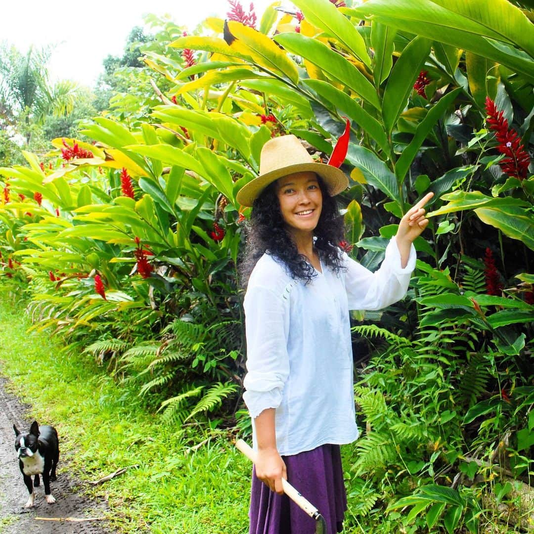 のインスタグラム：「Me and #RudyTheRudeboy  in our home  in Hana 2010 💚  Now you know where my previous posts are rooted from.  I can share my feelings of Hana only with my paintings. My eternal hālau (school),source of my inspiration   ハナ時代の気持ちはまだ絵でしか表せない。ずっとわたしの学校。インスピレーションの泉。  📷 @makikaoru」