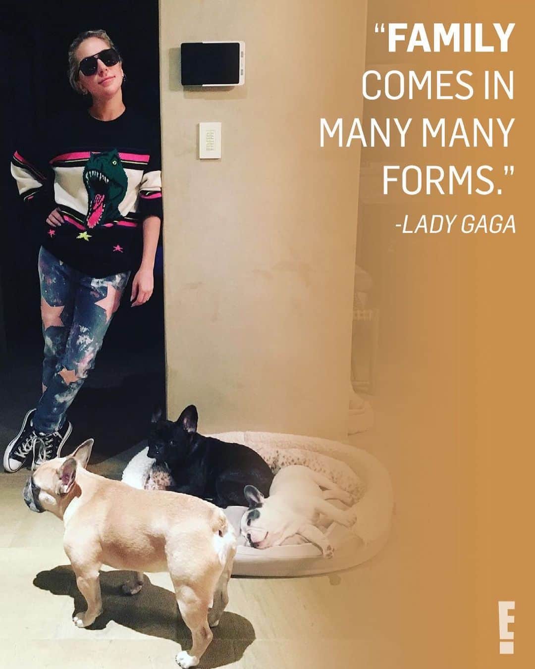 E! Onlineさんのインスタグラム写真 - (E! OnlineInstagram)「Lady Gaga’s little monsters are home. 💛 Link in bio for the details of their safe return after being stolen in an armed robbery 2 days ago. (📷: Instagram)」2月28日 4時17分 - enews