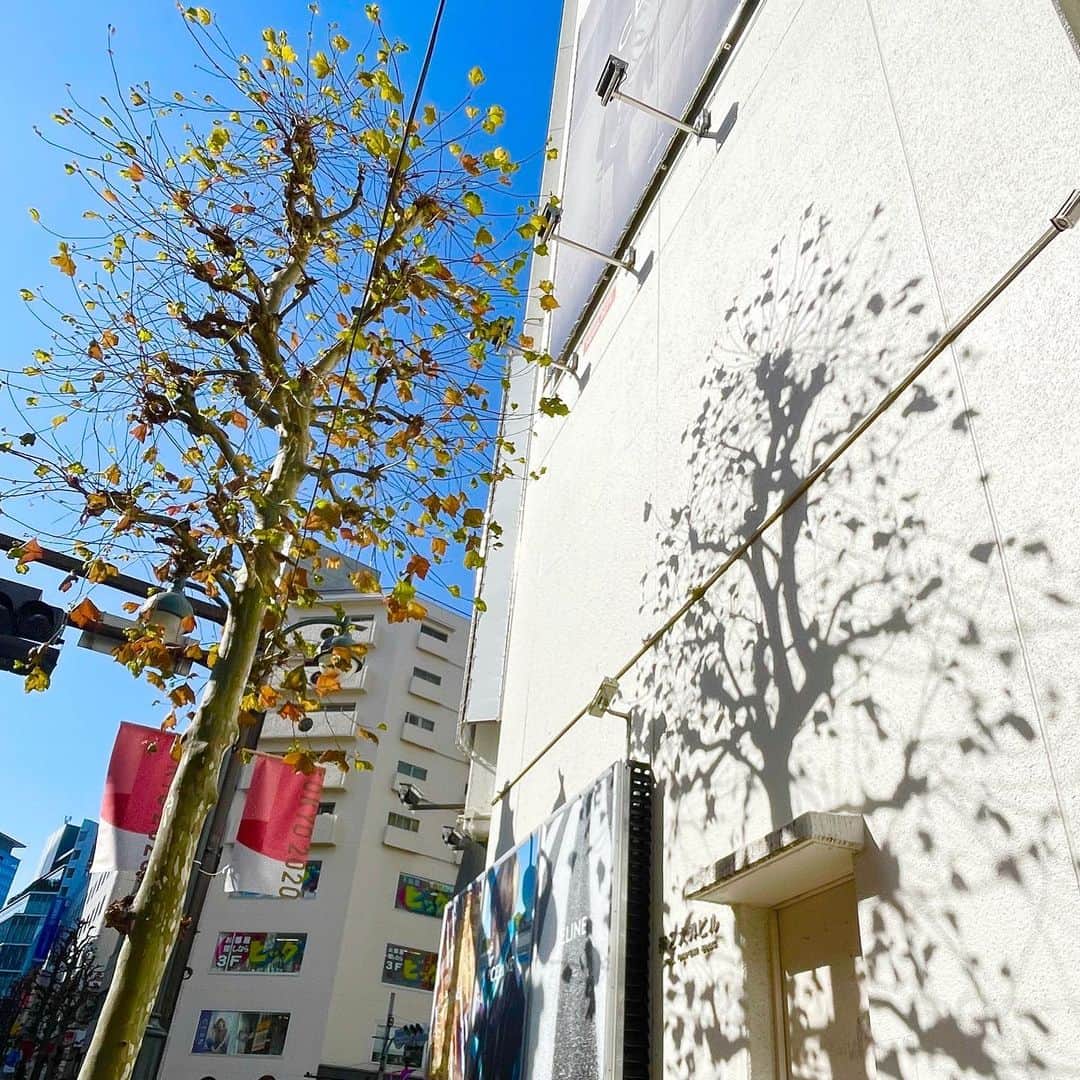 run+さんのインスタグラム写真 - (run+Instagram)「街中で見つけた素敵な景色 #😍 白い壁に映るのは木の影。 #影さえアート 上も下も横も見るところいっぱい♡♡♡ だからいまだに渋谷で迷ってますか？って聞かれる。 聞いてくれた人はきっとただ優しい人。笑  #今日も良いランでした  #走れるって幸せ #走れるって当たり前じゃない #走るを楽しむ #ゆるラン #街ラン #街RUN  #ランニング好きでアート好きな人と繋がりたい  #RUN➕Art #ArtRun #artrunning #DaysArt #アート散歩  ラン ランニング マラソン RUN RUNNING RUNNER  #ハシリマシタグラム #ハシリマスタグラム #igランナーズ  #ランニング好きな人と繋がりたい #街ラン好きな人と繋がりたい #ランナーさんと繋がりたい #igランナーズと繋がりたい #ランニング好きでアート好きな人と繋がりたい  #RunForSmile #Runday #RunLovesLife #runstagram #走る楽しさ広げ隊 @runplus #aday」2月28日 4時50分 - runplus