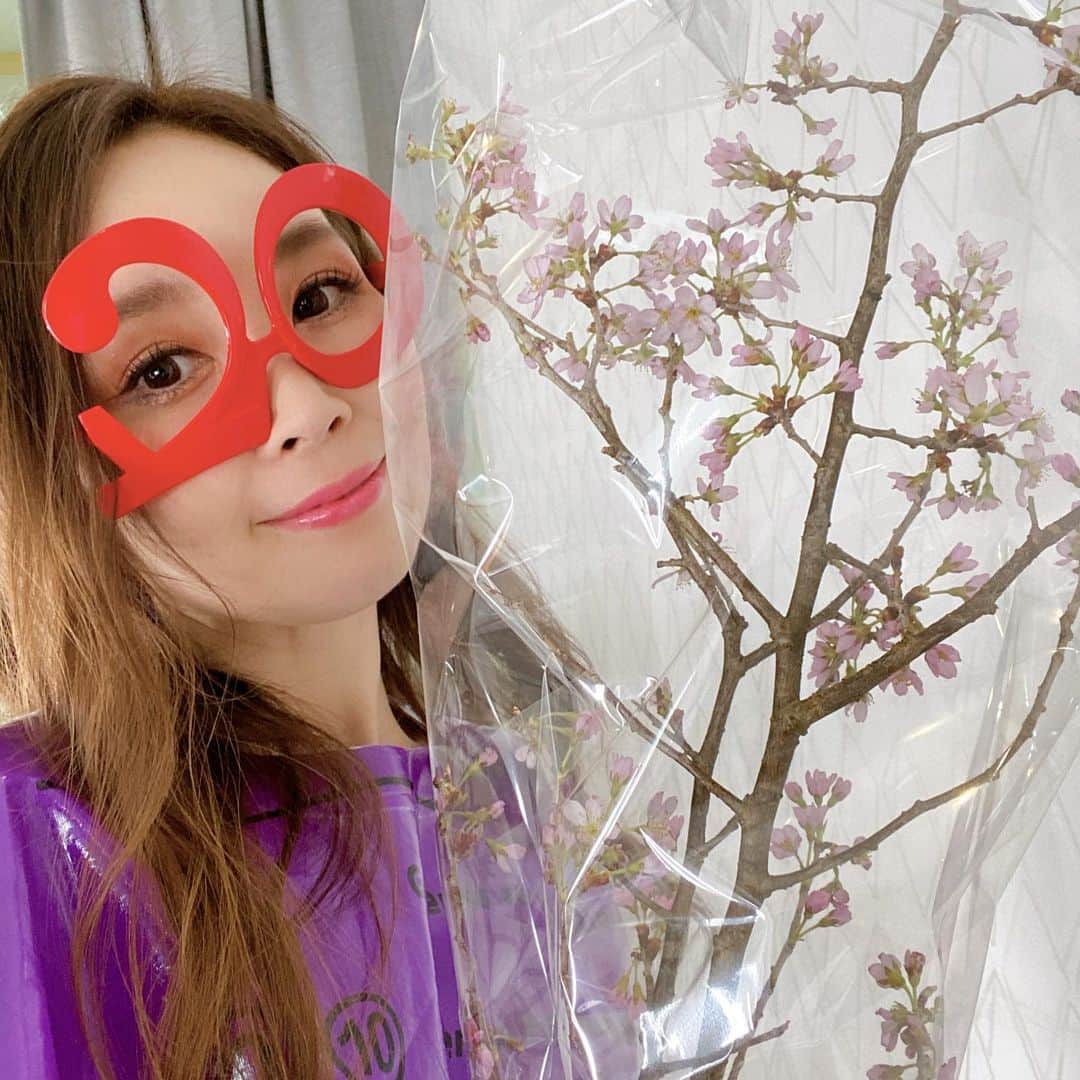 愛内里菜のインスタグラム：「前回の投稿で胸元にかけてたメガネは﻿ 楽屋に届いたプレゼント🥸﻿ 綺麗な桜もありがとう🌸🌸🌸﻿ ﻿ みんなたくさんプレゼントやメッセージ﻿ ほんとありがと🥺❣️🙏﻿ ﻿ 20周年は会えずにいたけど﻿ 2年分の喜びを噛み締めた﻿ ライブだった☺️﻿ ﻿ そして開催場所は﻿ 名古屋のライブハウス﻿ CIRCUSさん🎪⭐️﻿ 2周年おめでとうございます☺️🙌﻿ ﻿ ﻿ 🌈RINA AIUCHI official website🌈﻿ http://rikakakiuchi.com/ ﻿ こちらで引き続きオンラインショップで﻿ 「R」グッズお買い求め頂けます！﻿ ﻿ ﻿ 😆YouTube！チャンネル登録よろしくね😆﻿ 「愛内里菜オフィシャルチャンネル」﻿ ﻿ ﻿ 🐦Twitter﻿ 愛内里菜 official﻿ @RRikakakiuchi﻿ ﻿ ﻿ 😆TikTok﻿ 愛内里菜/Rina Aiuchi﻿ ﻿ ﻿ #愛内里菜  #歌手 再始動 #垣内倶楽部  #バンド ﻿ #ライブハウス #ライブ #一体化 #絆 #盛り上がりたい ﻿ #感謝  #21周年﻿ #YouTube﻿ #ユーチューバー#TikTok」