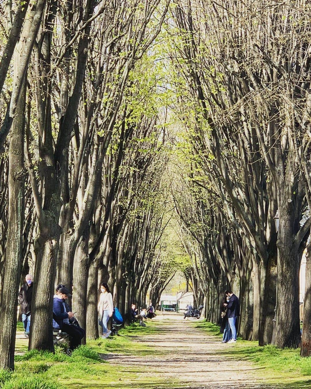 辻仁成さんのインスタグラム写真 - (辻仁成Instagram)「ここ、パリのど真ん中なんですよ。心地よい散歩日和でした。」3月29日 2時07分 - tsujihitonari