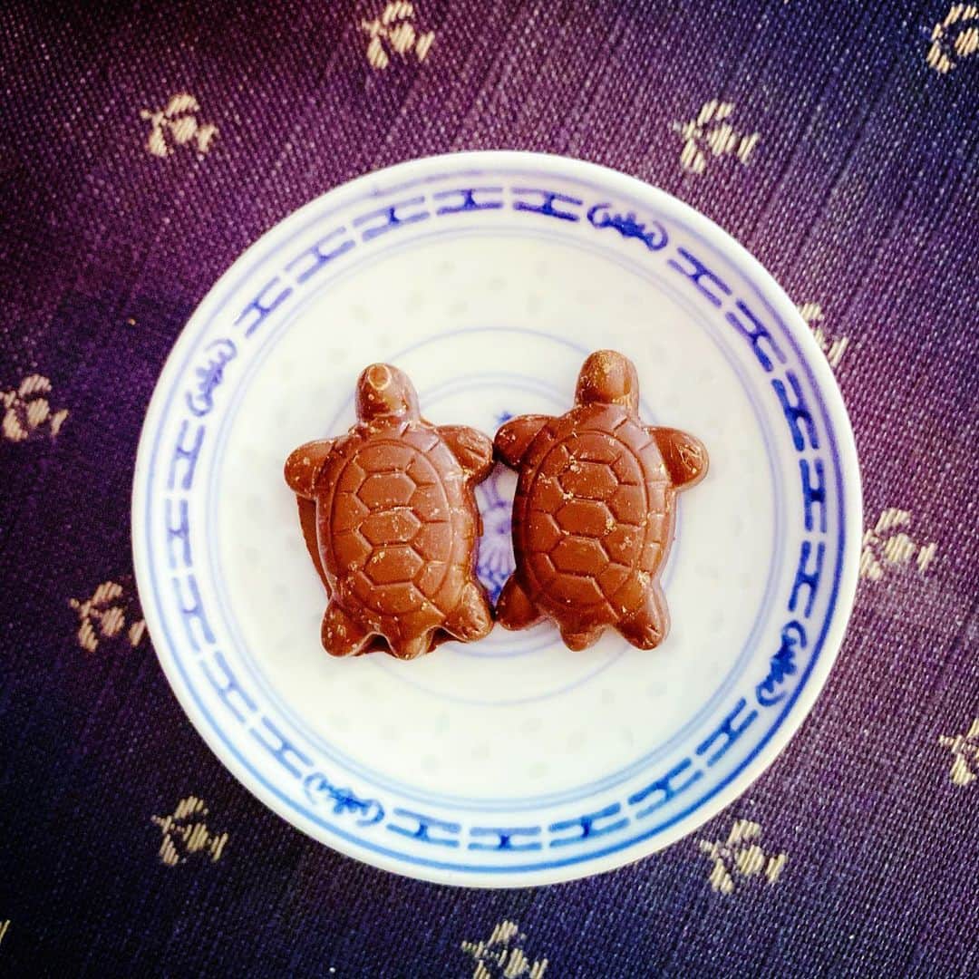 のインスタグラム：「亀の形のチョコレート。小学生の頃に金物の洗面器で飼っていたゼニガメを思い出す。  #チョコレート #亀 #chocolate #turtle」