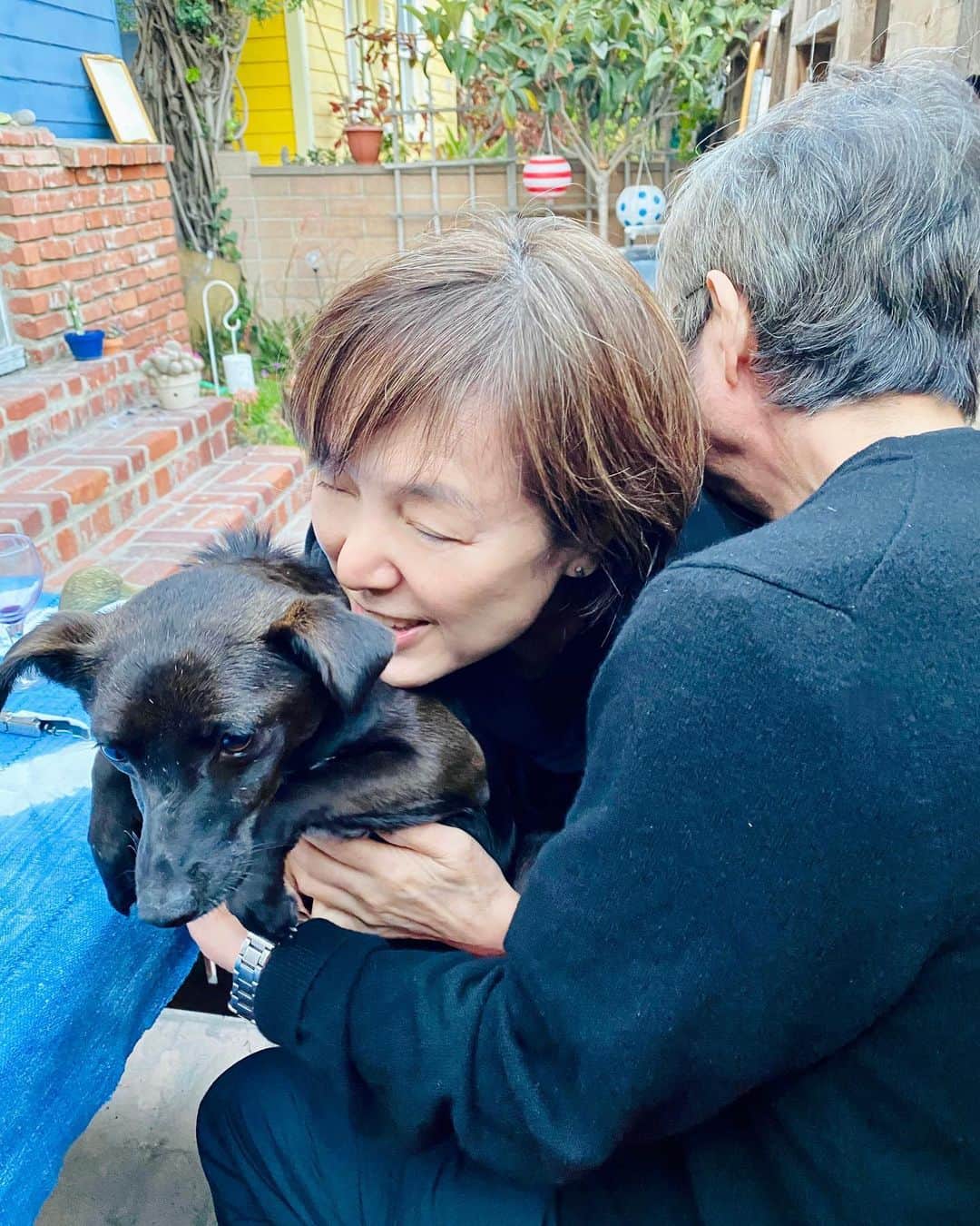 桃井かおりさんのインスタグラム写真 - (桃井かおりInstagram)「Mai&Deanの家に犬のCocoが来た❗‼️我らも大騒ぎ❗ "OSODEと呼んでもいいですか?"と、しつこく迫って嫌われたの誰だ～　#la暮らし」3月29日 6時40分 - kaori_momoi