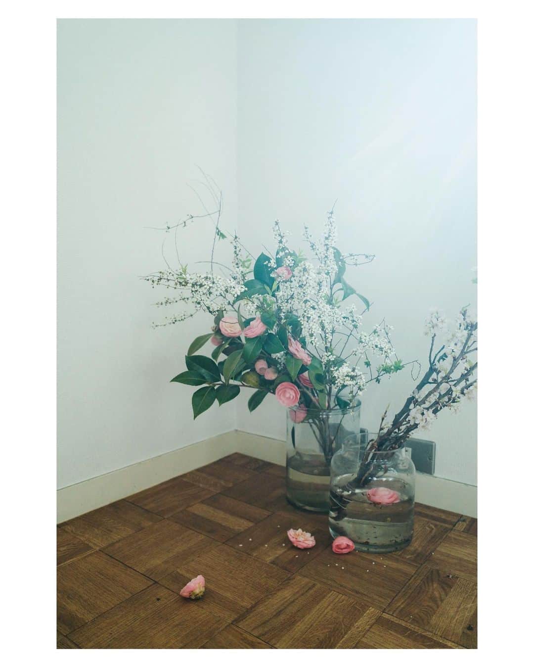 高山都さんのインスタグラム写真 - (高山都Instagram)「美しい朝。 椿のポトンと落ちる朽ちる姿も潔くて好きです。」3月29日 8時44分 - miyare38
