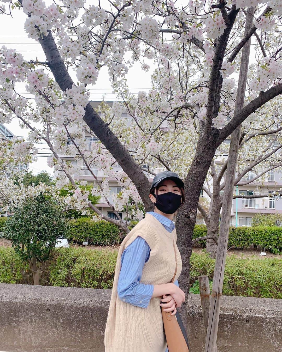 護あさなさんのインスタグラム写真 - (護あさなInstagram)「. 桜すごい。 桜ってやっぱり好きだなー🌸」3月25日 13時19分 - mamoruasana0504