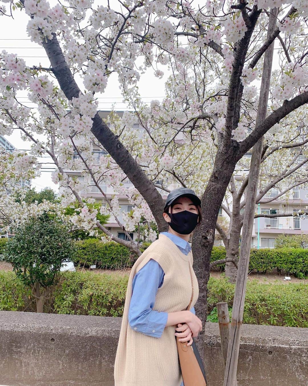 のインスタグラム：「. 桜すごい。 桜ってやっぱり好きだなー🌸」