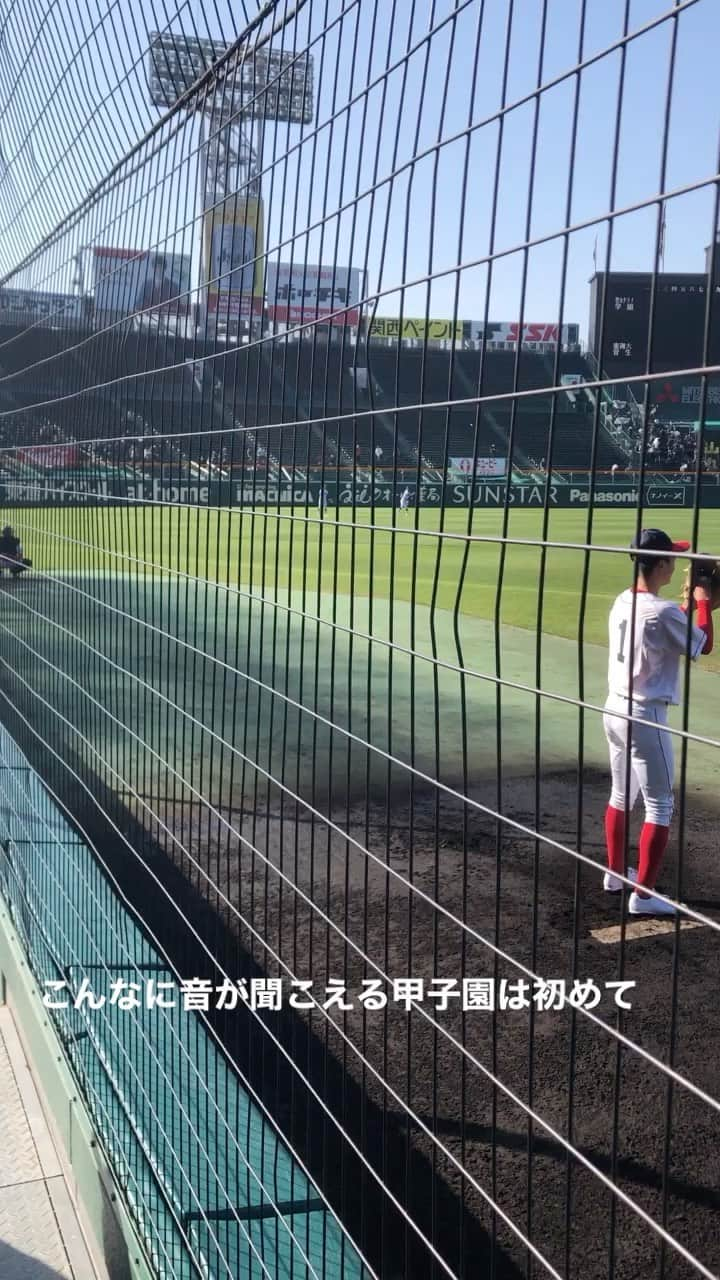 吉田千晃のインスタグラム：「#臨場感たっぷり  #こんなに #音が響く  #甲子園は #初めてです」