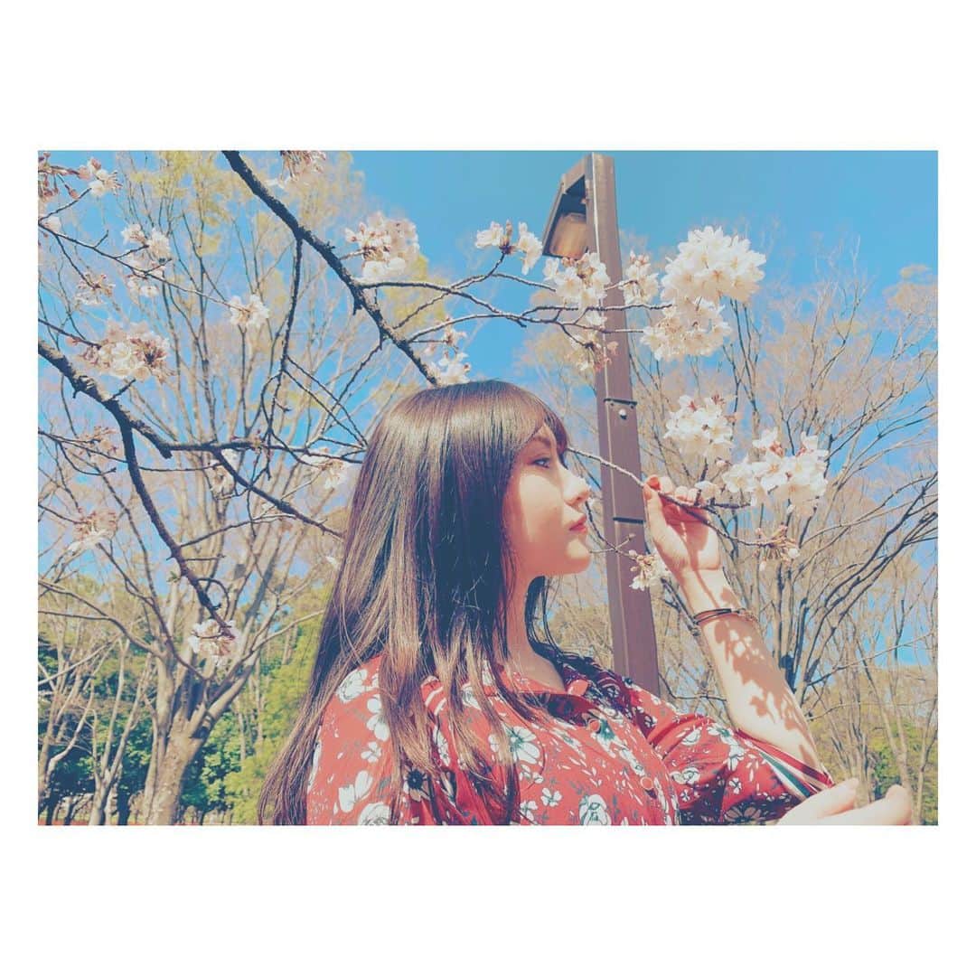のインスタグラム：「🌸🌸🌸  SAKURA ~  #代々木公園 #桜 #撮影 #桜ポートレート  #綺麗 #影 #エモい ？ #ポートレート #フィルター #お洒落 #instagood #instagram  #instalike #instapic  #flour #japan」