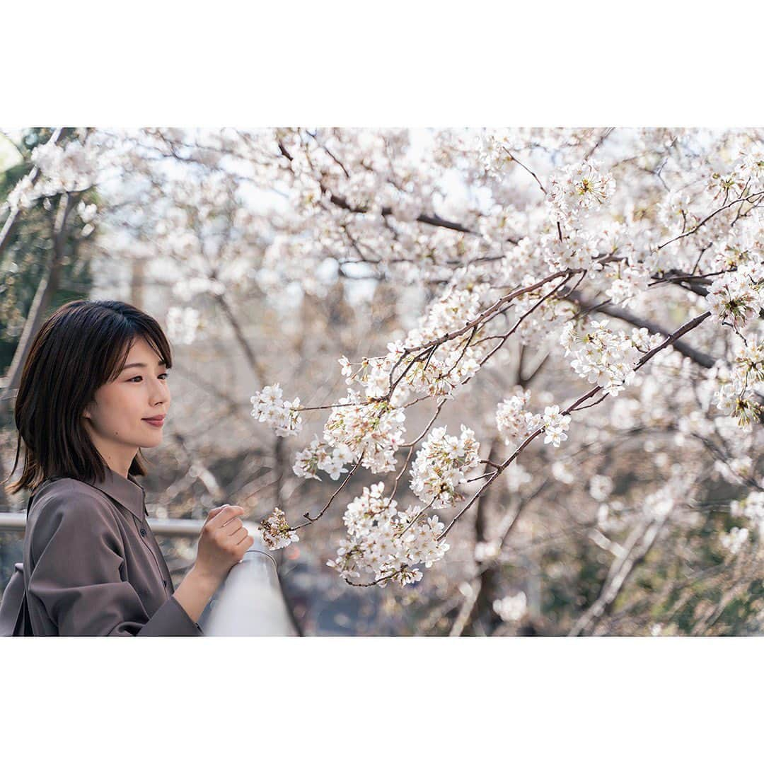 田中萌さんのインスタグラム写真 - (田中萌Instagram)「* 六本木は桜が見頃です🌸 スタッフに撮ってもらいました😊  友人たちと大規模なお花見はできませんが 通勤時などに桜を見ると明るい気分になります✨  カメラ @kaku_photo  #風強かった#桜#六本木#さくら坂#六本木ヒルズ#花見#テレビ朝日#アナウンサー#田中萌」3月25日 11時12分 - moetanaka_ex