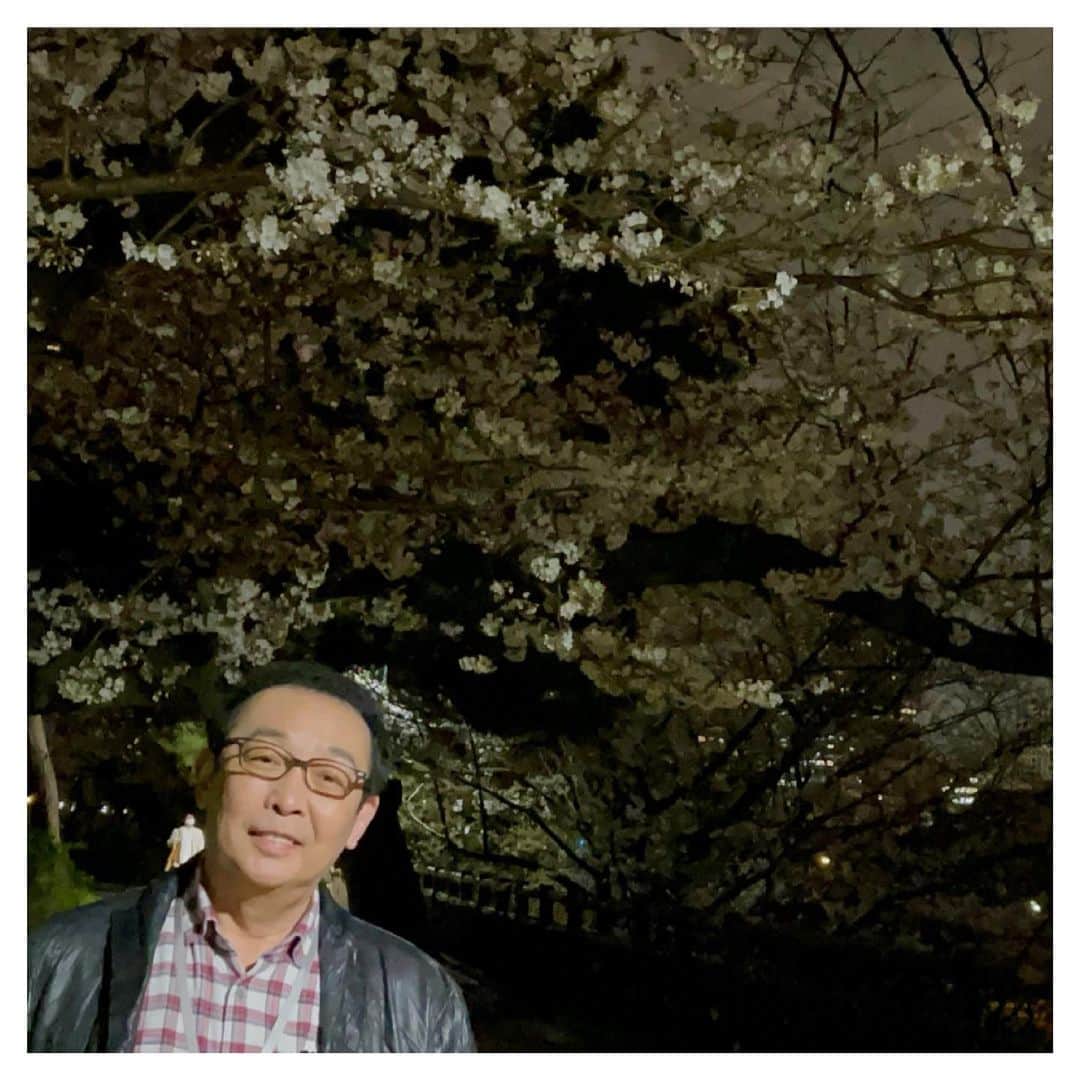 さだまさしさんのインスタグラム写真 - (さだまさしInstagram)「夜桜🌸 ライトアップがないので寂しいけれど、サクラサク🌸 良い春になりますように🙏 「夜桜まっさんぽ」はＭass@Ｍania のミタが、、、 🌸大サービス🌸 . #桜 #夜桜 #さだまさし #sadamasashi #まっさマニア #まっさマニアミタ」3月25日 21時35分 - sada_masashi