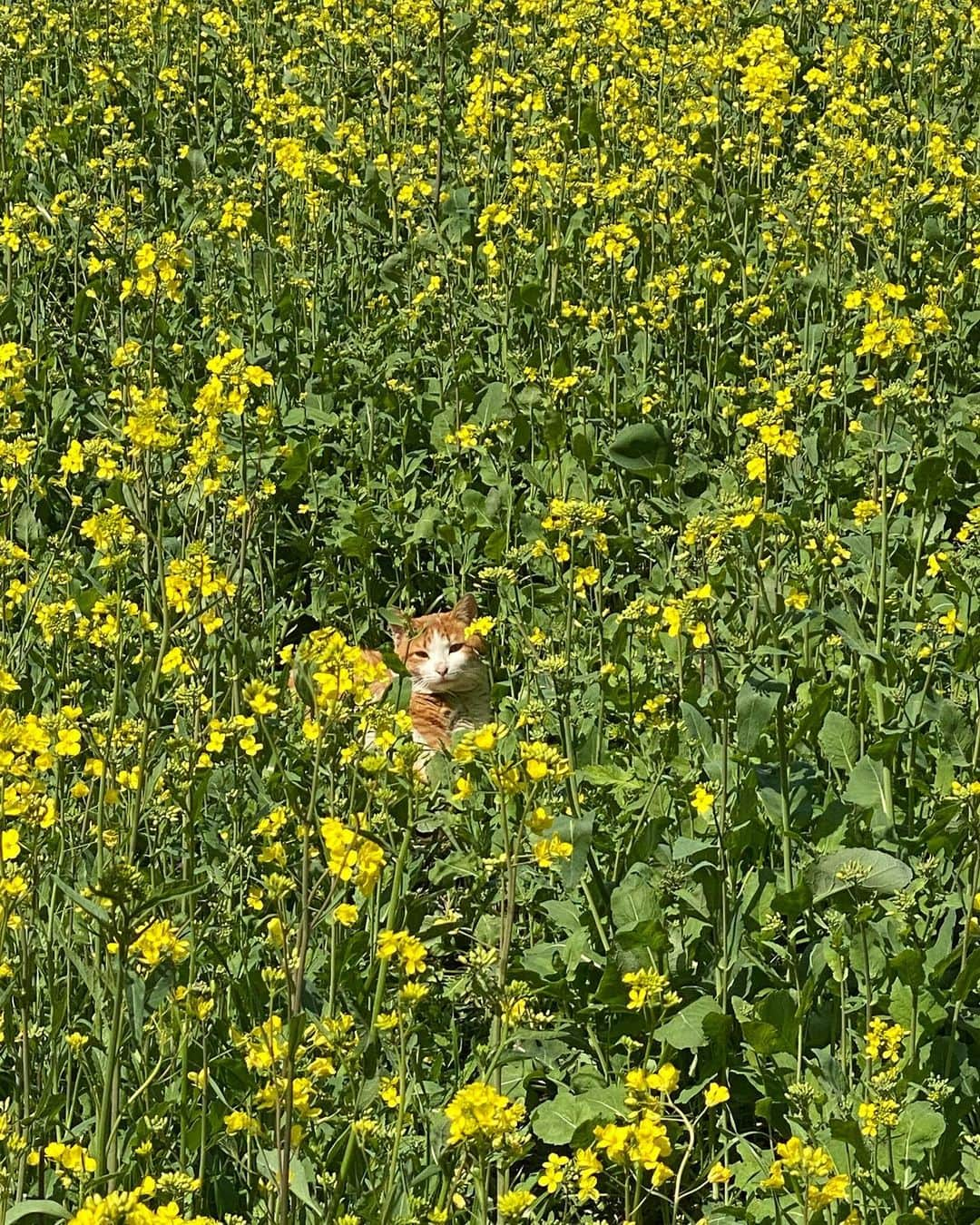 ハン・ヒョジュさんのインスタグラム写真 - (ハン・ヒョジュInstagram)3月25日 15時27分 - hanhyojoo222