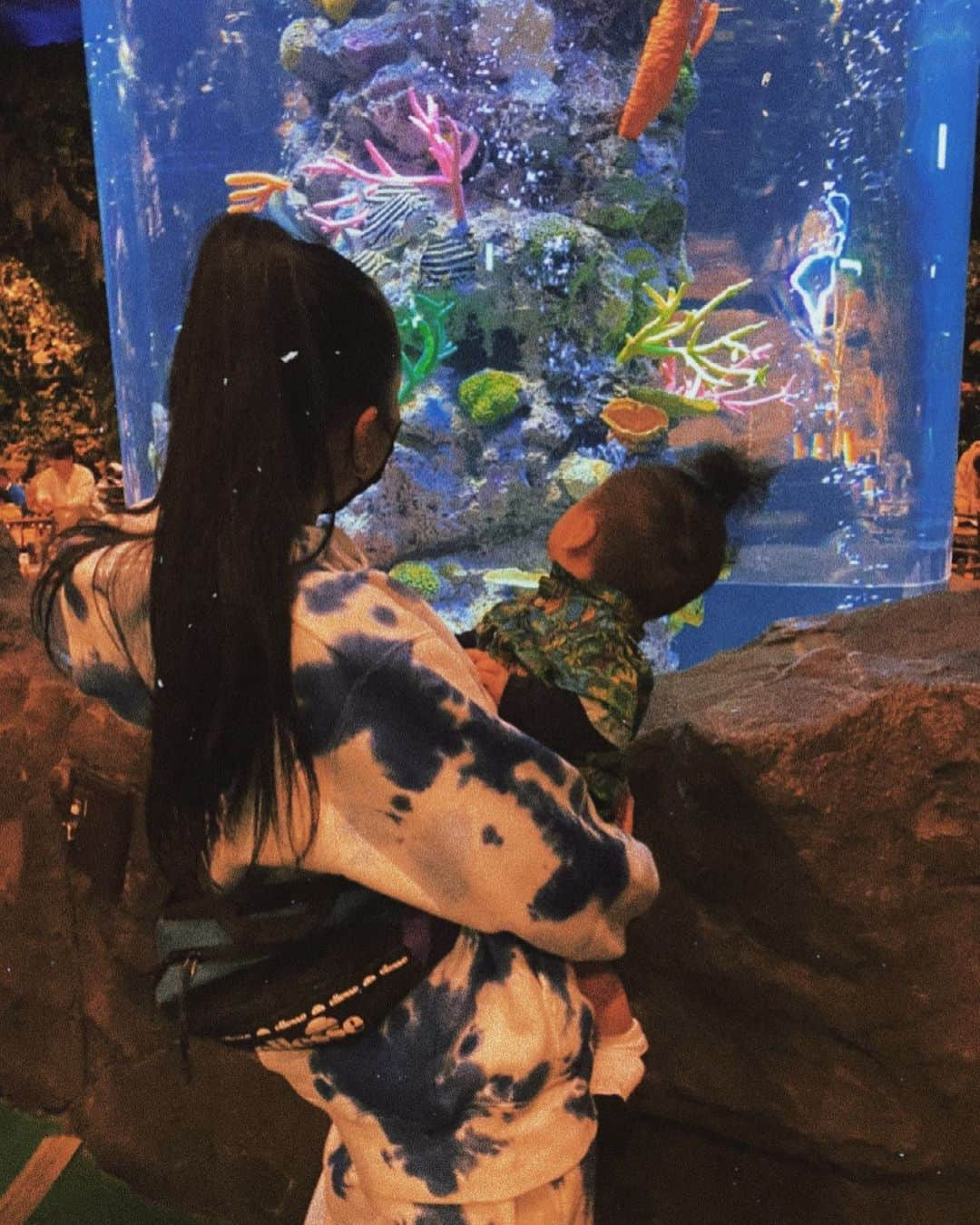 藤本紫媛のインスタグラム：「🐠🐡🐟」