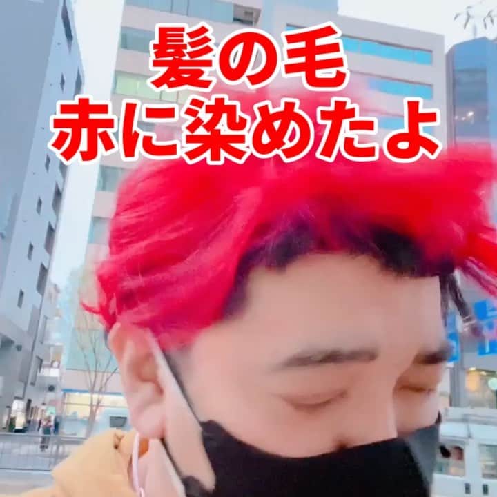 デッカチャンのインスタグラム：「2月の頭にお芝居で髪の毛黒くしてから約2ヶ月。  また髪の毛を赤にしたよー！  でもちょっと前と違う感じにしてみようと中は黒で赤が乗っかってる感じにしたよー。  黒で縁取られてる感じで余計にウィッグ感が増したよー🦲  また赤い汗をかかしていただきます🙇‍♀️  #表参道 #legame #デッカチャン #ウィッグ」