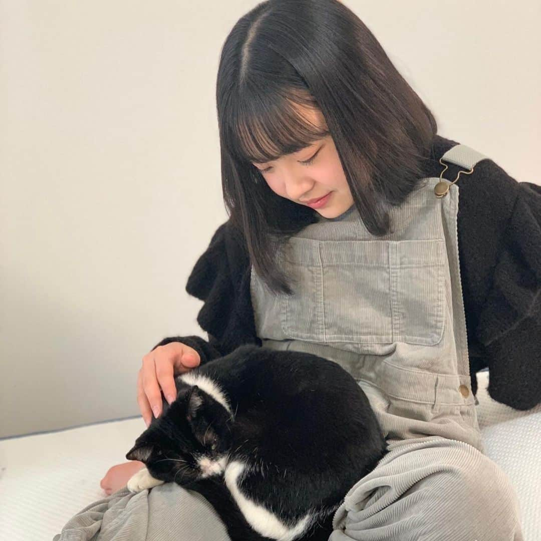 Hinataさんのインスタグラム写真 - (HinataInstagram)「. . 癒されタ〜イム🐱❤ めずらしい2ショット!! . . #おうち時間  #春休み中 #今日はお仕事もお休み #サンとキキ #距離感ww」3月25日 18時57分 - hinachosugram