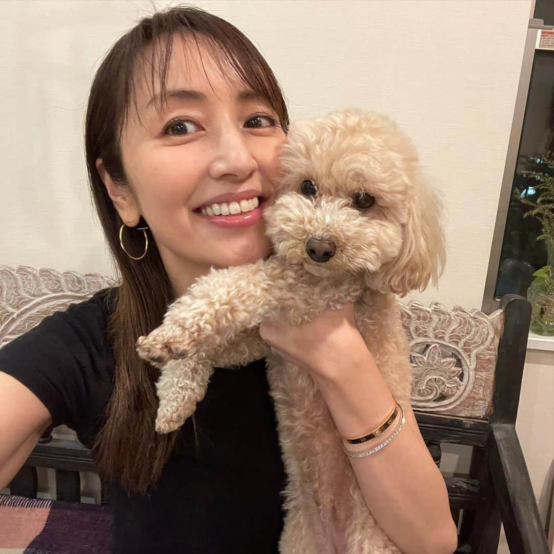 矢田亜希子さんのインスタグラム写真 - (矢田亜希子Instagram)「本日のきなこ♡ #toypoodle #トイプードル#きなこ#きなちゃん#癒し#姉妹犬#もなかと#五つ子」3月25日 20時12分 - akiko_yada