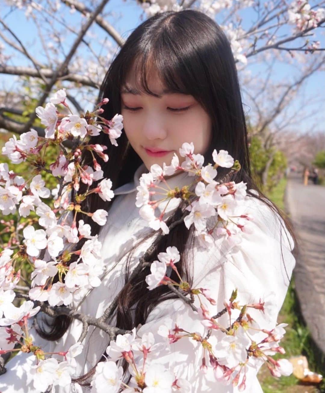篠原ののかさんのインスタグラム写真 - (篠原ののかInstagram)「桜好きすぎていっぱい撮っちゃう🥰   #桜  #portrait  #portraitmodel  #portraitphotography   #ファインダー越しの私の世界  #photography  #photo_jpn」3月25日 20時24分 - nonoka_211