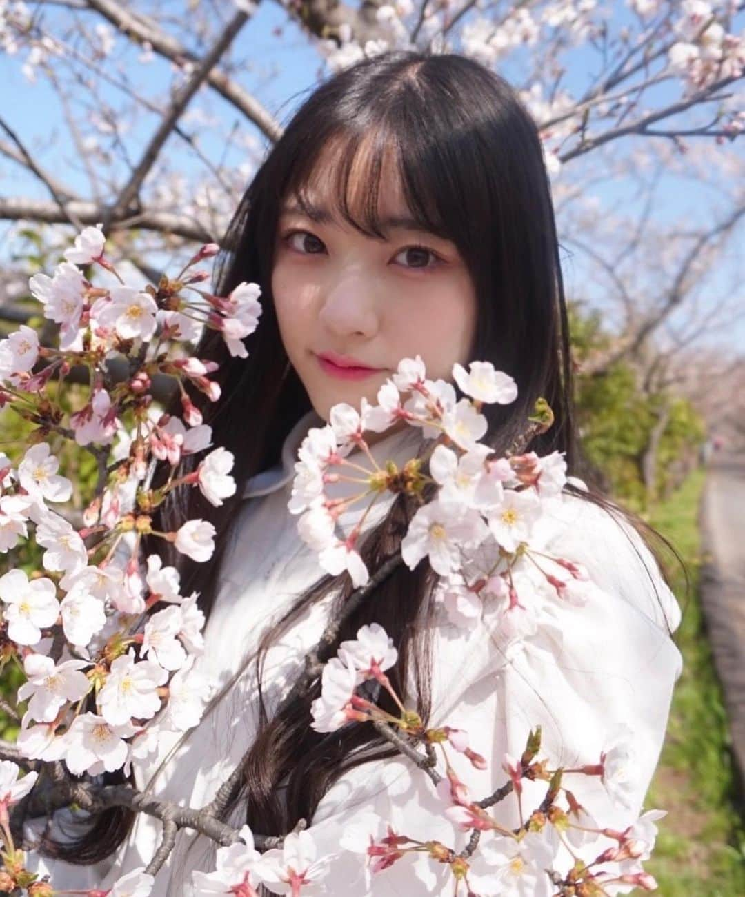 篠原ののかさんのインスタグラム写真 - (篠原ののかInstagram)「桜好きすぎていっぱい撮っちゃう🥰   #桜  #portrait  #portraitmodel  #portraitphotography   #ファインダー越しの私の世界  #photography  #photo_jpn」3月25日 20時24分 - nonoka_211