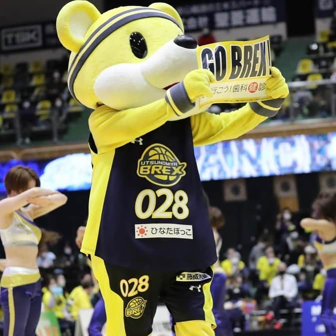 鵤誠司のインスタグラム：「#bリーグマスコット  #ブレッキー」