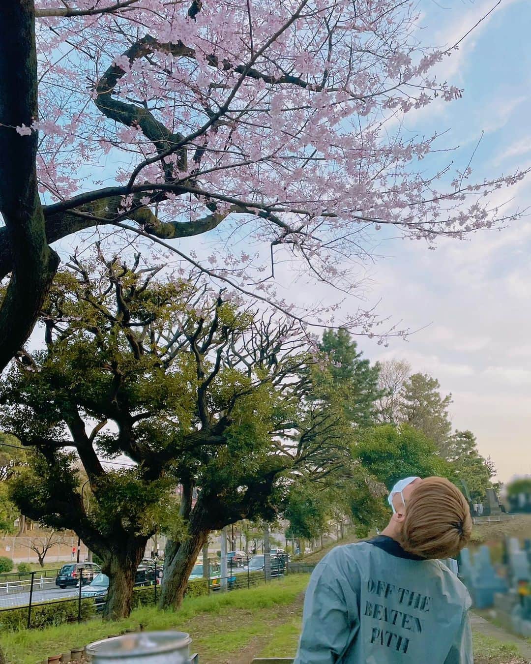 のインスタグラム：「SAKURA🌸 東京はいろんなところで満開の#桜✨  みんなのところはどう？🤔  #桜の木見上げ過ぎて首痛くなった #なんで桜って咲いてるの見つけるとこんなに嬉しくなるんだろか  #cherryblossom#春」