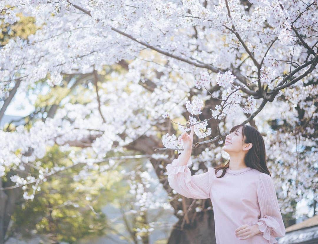 栗田麻理のインスタグラム：「. 春色に染まる空。 薄ピンクの綺麗な世界が見えます😌  もうすでに葉桜も見つけて寂しくなりました。  📷: @daichi_photo」