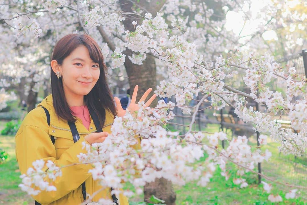 檜山沙耶さんのインスタグラム写真 - (檜山沙耶Instagram)「桜が見頃を迎えている地域も増えてきましたね！ みなさんの地域はいかがですか？ 素敵な春をお過ごしください🌸  #桜 #春 #cherryblossom  #spring」3月26日 15時53分 - sayahiyama