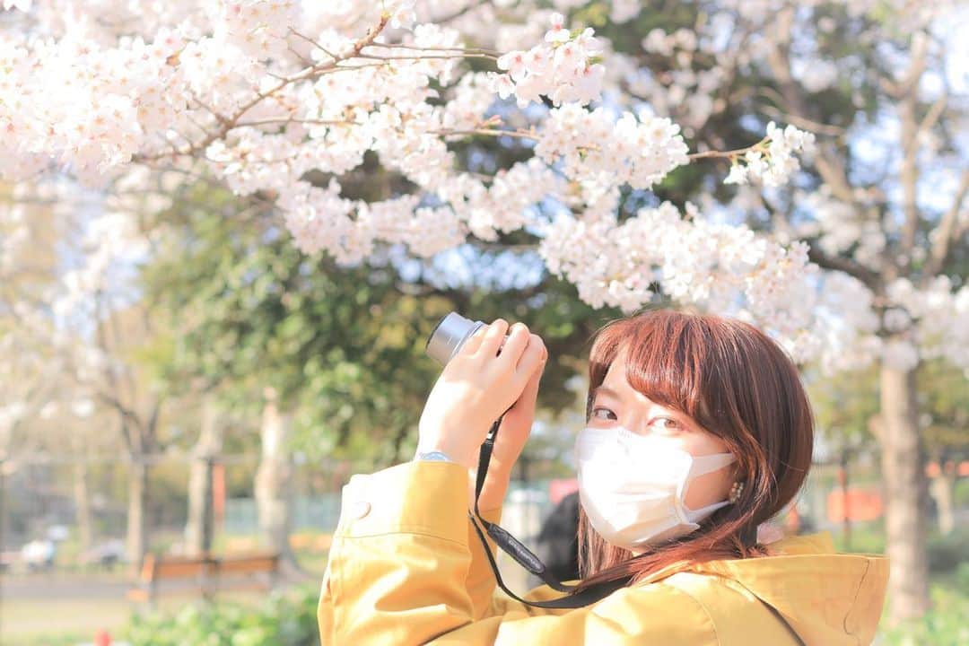 檜山沙耶さんのインスタグラム写真 - (檜山沙耶Instagram)「桜が見頃を迎えている地域も増えてきましたね！ みなさんの地域はいかがですか？ 素敵な春をお過ごしください🌸  #桜 #春 #cherryblossom  #spring」3月26日 15時53分 - sayahiyama