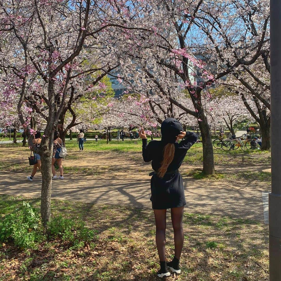 丹野珠里さんのインスタグラム写真 - (丹野珠里Instagram)「さくら舞散る中に忘れた記憶と〜♪♪  みんなの桜SONG🌸は何？？  #cyberjapan #junon #cherryblossom #サイバージャパン　#桜　#spring」3月26日 16時49分 - cjd_junon