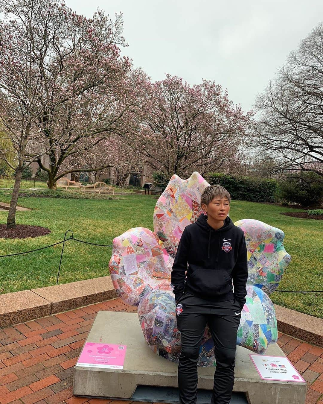 横山久美のインスタグラム：「With Washington D.C.Cherry blossom  #いんすたばえ」