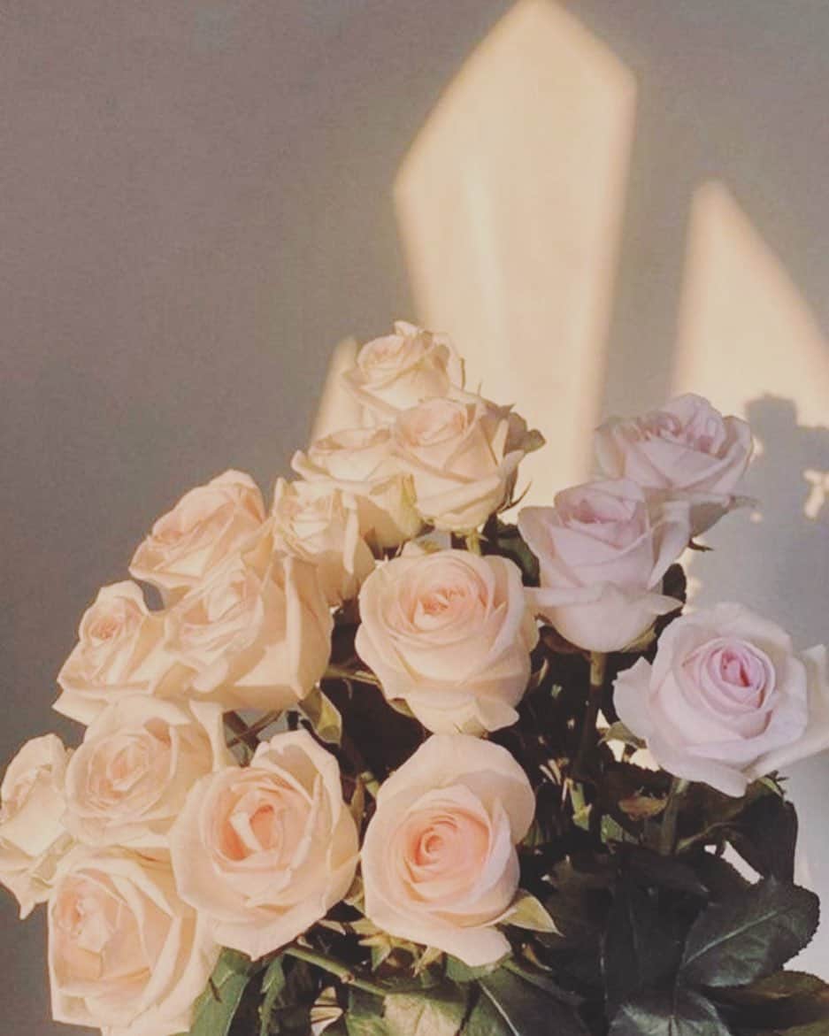 のインスタグラム：「🕊✨」