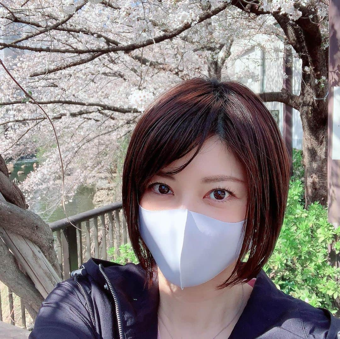 原史奈さんのインスタグラム写真 - (原史奈Instagram)「ちょっと用事があって中目黒まで行ったのでついでに目黒川の桜でお花見🌸 日の当たるところは満開に近く咲いていて綺麗だった😆 お気に入りの @camper_japan のスニーカーは 歩きやすくて可愛い💕 #桜 #お花見 #目黒川 #camper #スニーカー #歩きやすい #可愛い ﻿﻿﻿﻿﻿﻿﻿﻿#原史奈 #ゴルフ #ゴルフレッスン #ゴルフ女子#ゴルフ大好き #golf #ゴルフウエア #ゴルフコーデ #ゴルフグッズ #ゴルフ動画 #ping #ピン #ping女子 #gle2 #g410 #even #archivio #アルチビオ #cuartounited #instagolf」3月26日 9時11分 - fuminahara