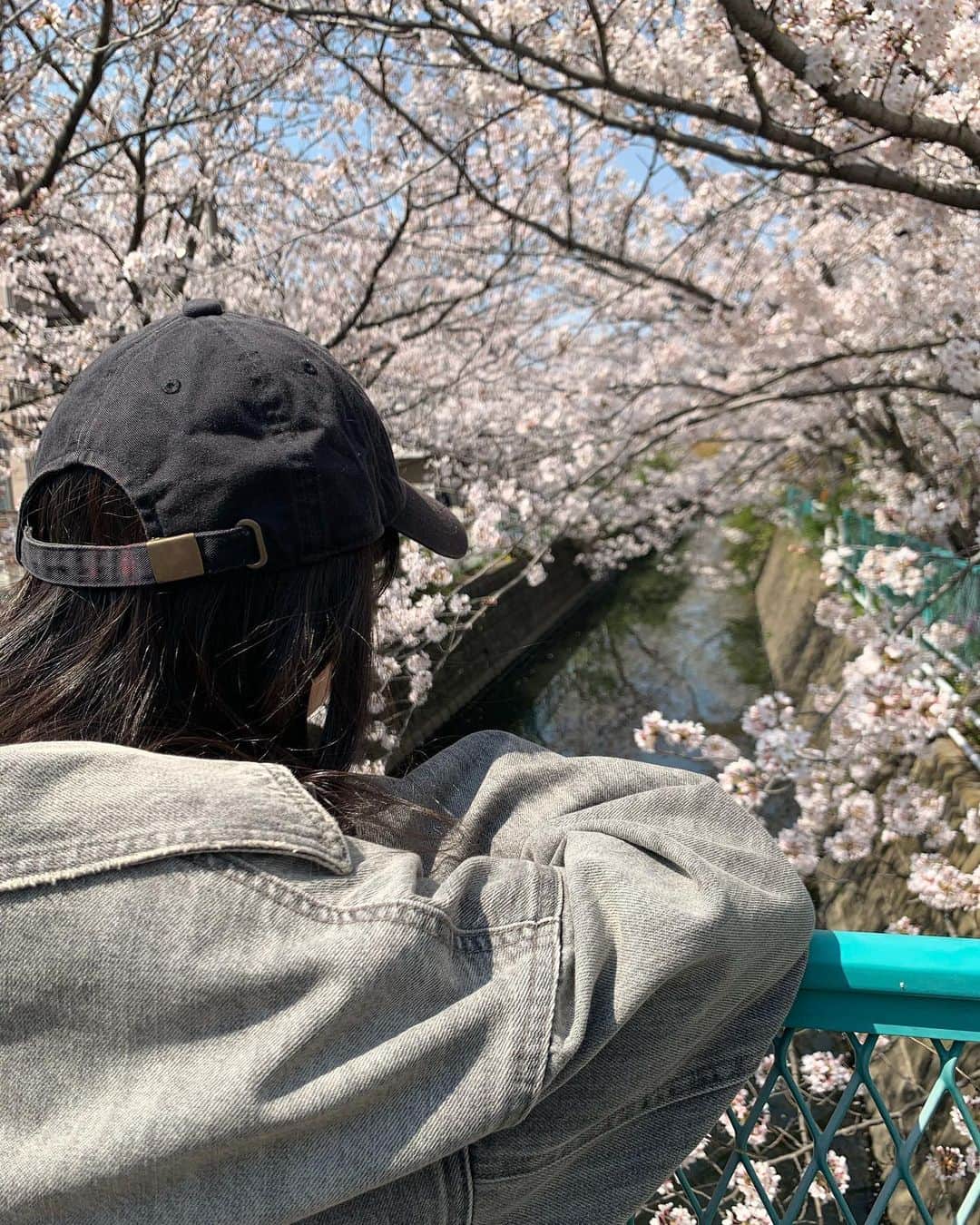 中田華月さんのインスタグラム写真 - (中田華月Instagram)「桜が綺麗だった🌸 満開！！！！  ついでに今日のコーデ。  お花見したいなー。  こないだ卒業おめでとうメッセージたくさんありがとうございました❤︎ めちゃ嬉しかったです🥰  #桜の季節  #桜並木 #お花見 #したいよね #今日のコーデ #ブラックコーデ #ノーマルカメラ」3月26日 12時21分 - hachan0925