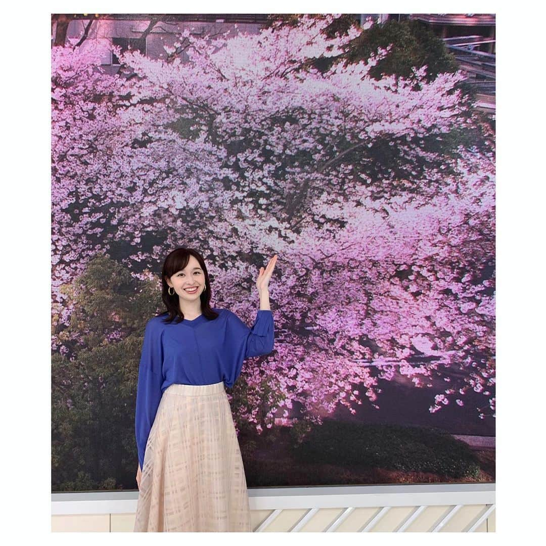 宇賀神メグさんのインスタグラム写真 - (宇賀神メグInstagram)「🌸 . . .  あさチャンOA後に、 モニターに映る桜の前で 写真を撮っていただきました！  . 赤坂の桜も満開です。  モニターの前でつかの間のお花見気分を味わいました。☺️  . . . #あさチャン #お花見 🍡 #桜　#満開」3月26日 14時01分 - ugajin_megu