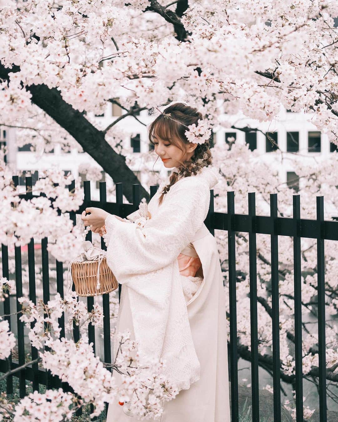 王依君さんのインスタグラム写真 - (王依君Instagram)「桜🌸満開〜」3月26日 14時09分 - sandystrawberry_