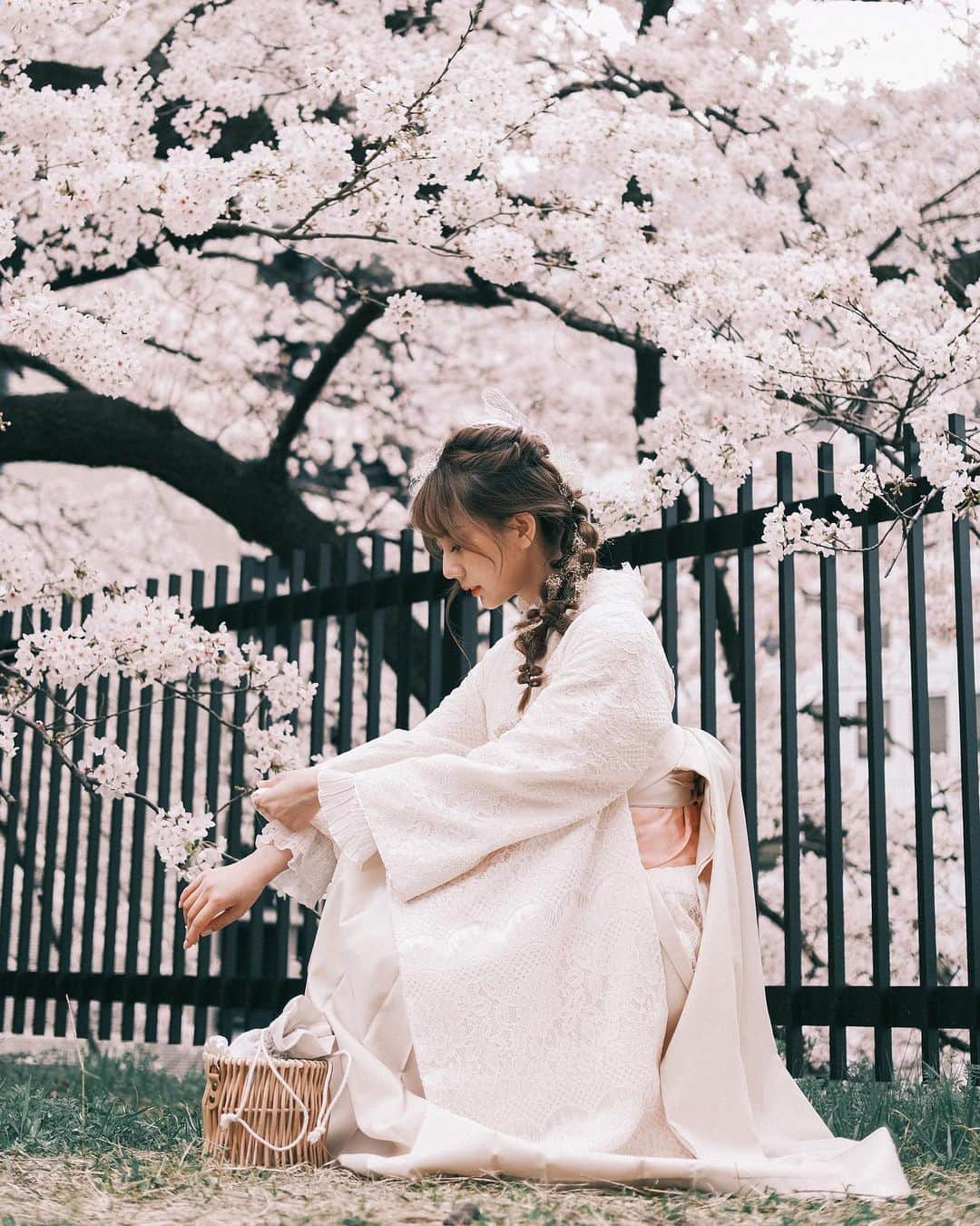 王依君さんのインスタグラム写真 - (王依君Instagram)「桜🌸満開〜」3月26日 14時09分 - sandystrawberry_