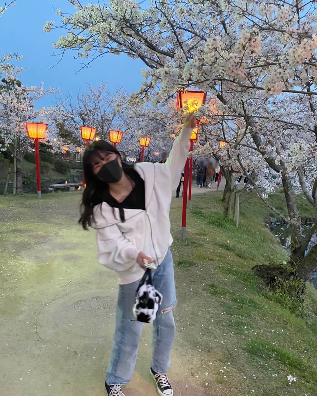若林真帆のインスタグラム：「桜を見に行ってきた🌸 #桜 #小城公園 #佐賀」