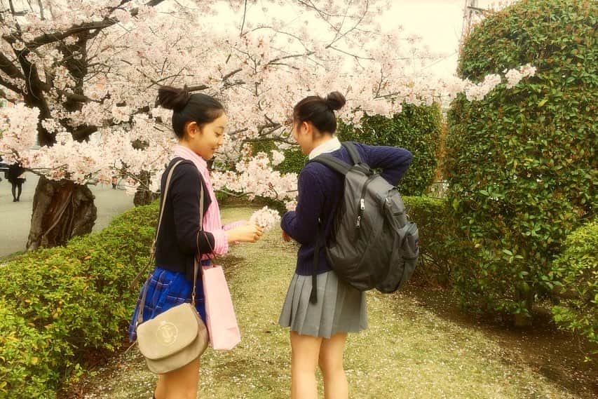 中野怜美のインスタグラム：「Throwback to Sakura season 2015 in Japan🌸 桜が恋しい...日本の春の美しさには本当に感動する。 春を日本で過ごせた2015年が懐かしいなぁ」