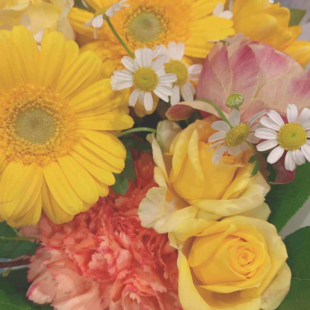山崎怜奈さんのインスタグラム写真 - (山崎怜奈Instagram)「… 人にお花を贈るとき、 私はいつも相手を思い浮かべて色を選ぶんだけど　  いただく花束は 黄色やオレンジが多くて  もし似たような理由だとしたら 嬉しいなぁ、と思いました。 あったかい色が好きです。  　 ちなみに乃木坂ライブでのサイリウムカラーも 白と黄色です🥚🍋  3月28日はいよいよ2期生ライブです。 配信なので、皆さんが客席で振ってくださるサイリウムを 直接見ることは叶わないけれど、 ちゃんと気持ちは届くと願って。がんばります。」3月26日 22時44分 - rena_yamazaki.official