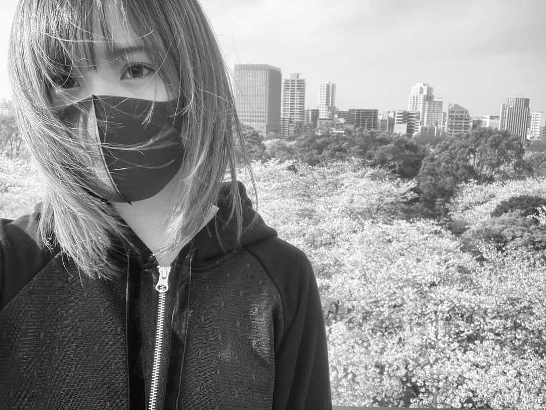 荒巻美咲のインスタグラム：「. #舞鶴公園 #桜 #🌸」