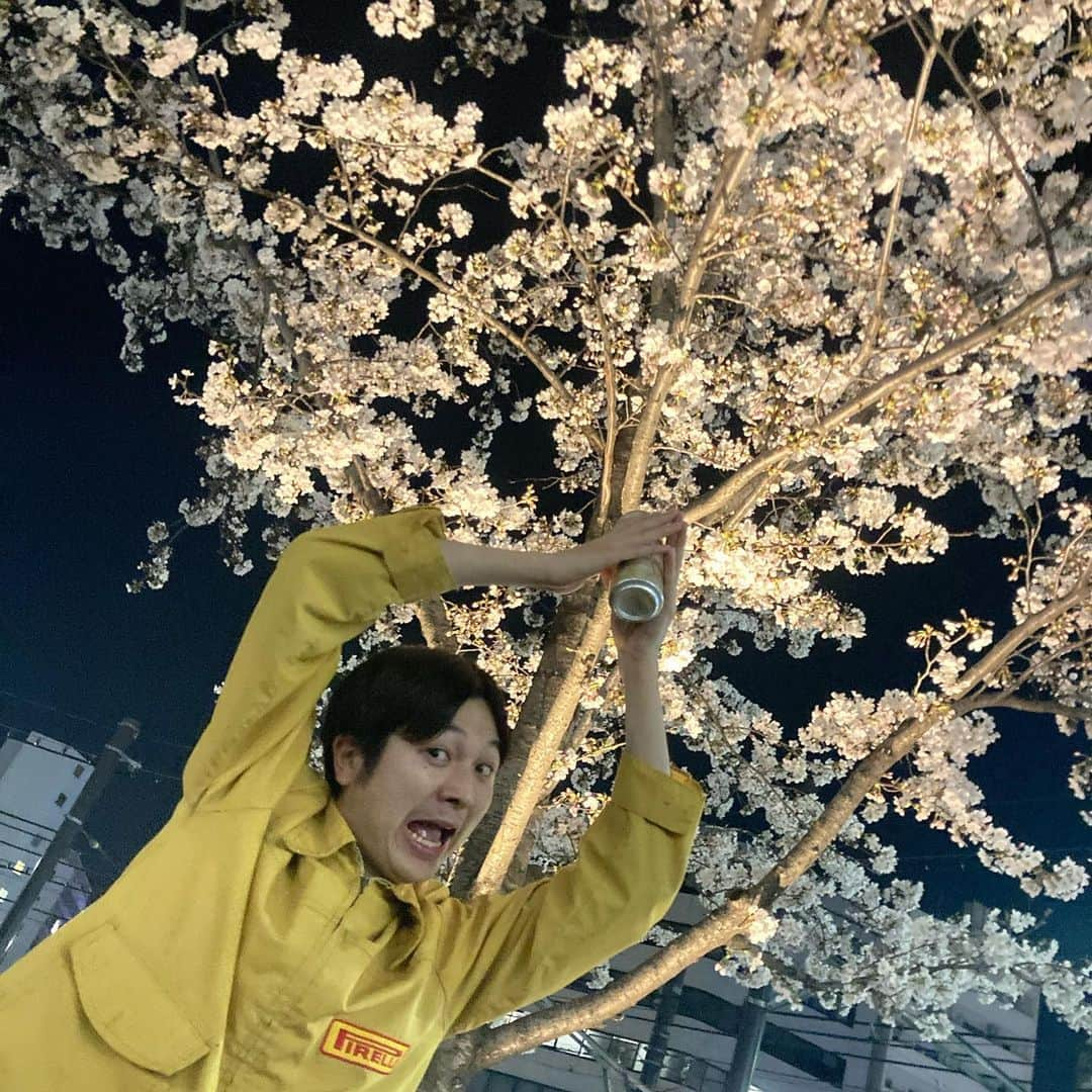 ナベさんのインスタグラム写真 - (ナベInstagram)「花見🌸」3月26日 23時58分 - soisosunabe