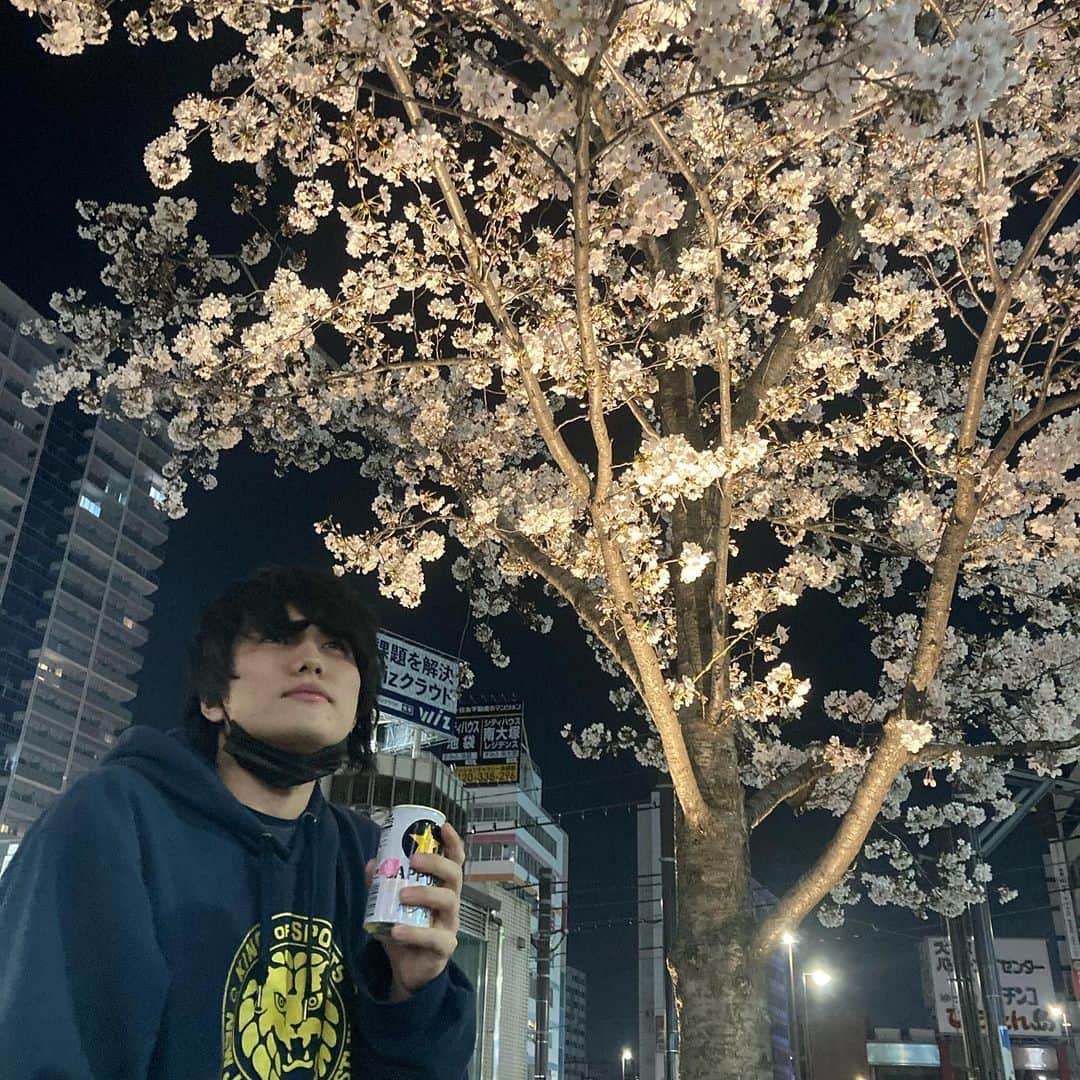 ナベのインスタグラム：「花見🌸」