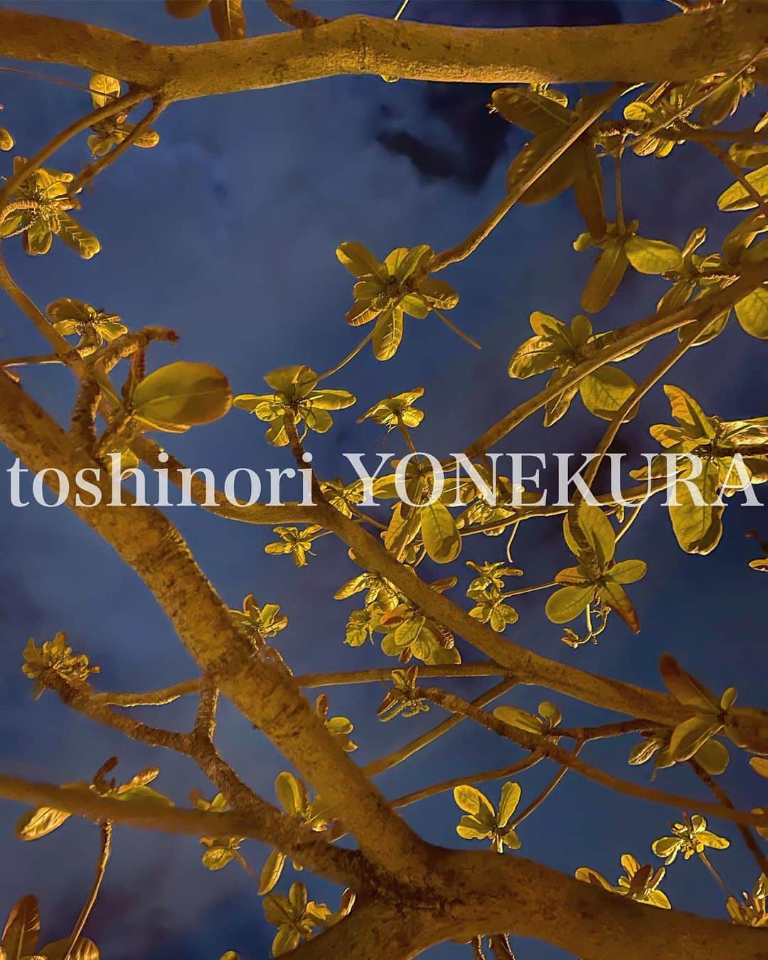 米倉利紀さんのインスタグラム写真 - (米倉利紀Instagram)「“mini green GIRAFFE” travel72 @ OKINAWA #夜散歩」3月27日 3時03分 - toshi_yonekura