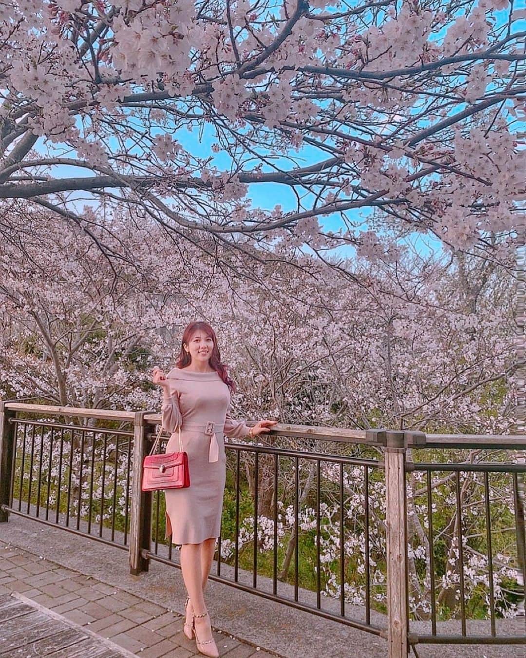 神谷麻美さんのインスタグラム写真 - (神谷麻美Instagram)「#桜 🌸💗🌸💗🌸💗✨  #満開 💗あとちょっとだね💗👼🏻💗🌸✨  #あとちょっと ～😽💗🕊💗✨  #桜満開 💗🌸💗🌸💗✨」3月27日 7時02分 - asamice428