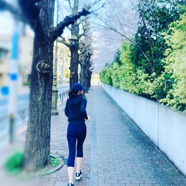 のインスタグラム：「Good morning!! 桜が舞う中、ヨレヨレのmorning running笑。  #running #朝ラン #内田恭子　#kyokouchida」