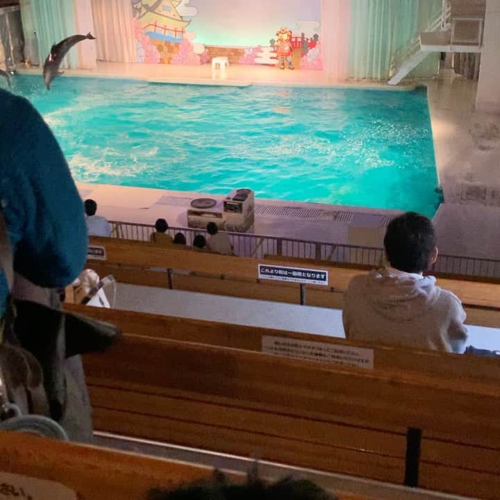 信沢Hitoshiのインスタグラム：「イルカとアシカのショーが気に入ってるみたい！」