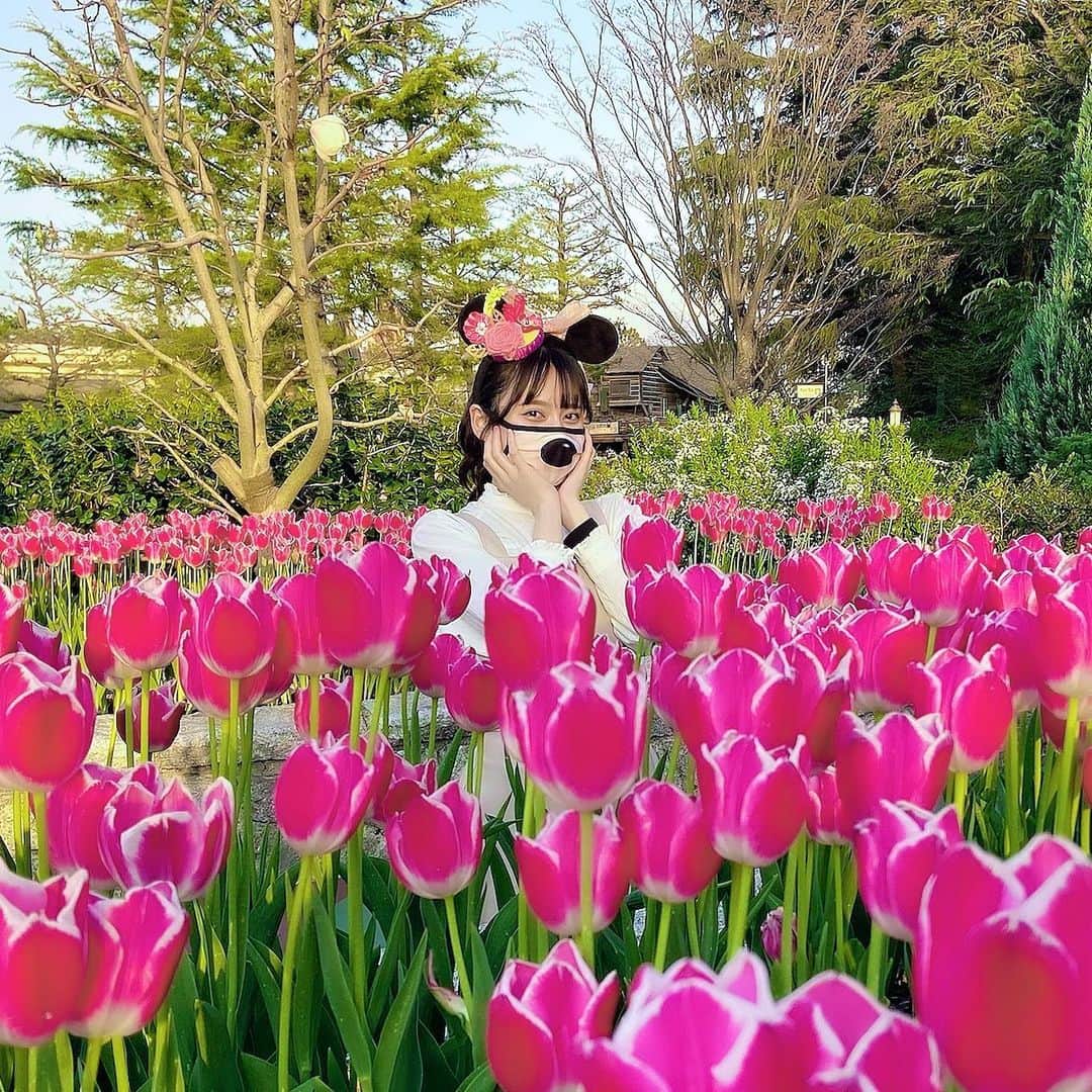 広山楓さんのインスタグラム写真 - (広山楓Instagram)「春はパーク内のお花も可愛いのがたくさん咲いてるから楽しい！ 白雪姫の願いの井戸の辺りのチューリップが最強に可愛い。映え。インスタってこういうことであってる？  #tds #tdl #tdr #夢の国  #ディズニーコーデ #ディズニーバウンド #ディズニーグッズ  #ディズニーカチューシャ #ディズニー再開　#ディズニー好きな人と繋がりたい  #ディズニー #disney #mickeymouse #ミッキー #ミニー #迪士尼　#迪士尼乐园　#迪士尼海洋 #迪士尼精品　#東京迪士尼 #米老鼠 #米妮 #偶像　#角色扮演 #チューリップ #🌷 #春 #春コーデ」3月27日 21時07分 - maple.1018