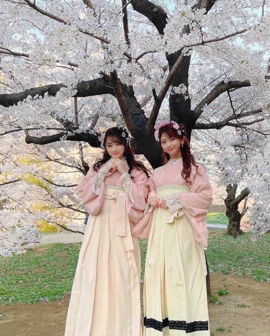 日野礼香さんのインスタグラム写真 - (日野礼香Instagram)「桜綺麗だったー🌸✨🍓 #cherryblossom #spring #portrait #kimono #hakama #japanesegirl #japaneseculture #pink #桜　#着物　#袴　#春」3月27日 21時03分 - reicheru219