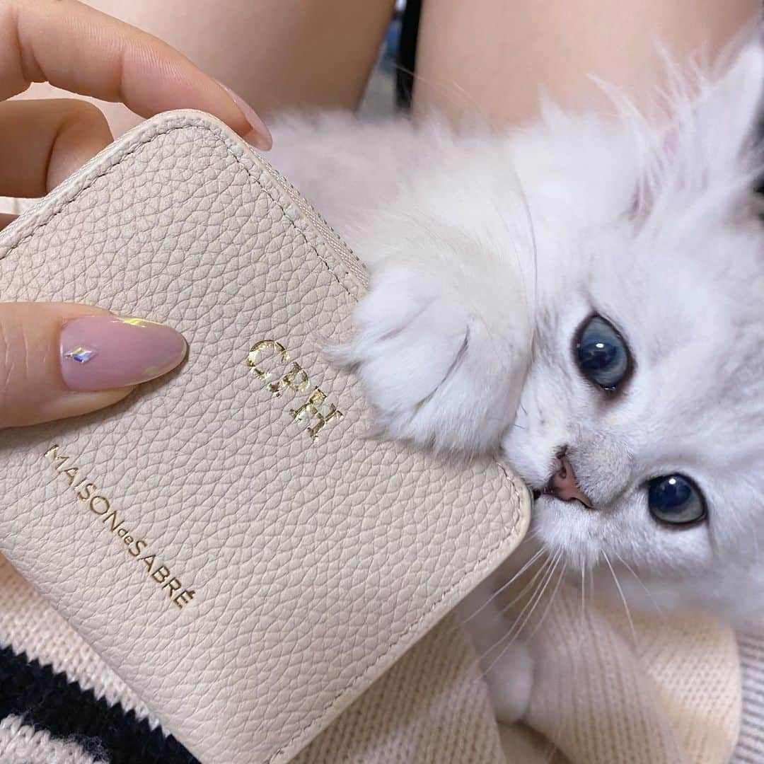 cocovanilla_chiakiさんのインスタグラム写真 - (cocovanilla_chiakiInstagram)「New nailとNew wallet😻🌸 カード入れるところ沢山ある小さい財布探してたんだ♥ イニシャル入れれるの可愛すぎる♥ この2人のイニシャルにした♥ いろんなの作りたくなるー♥ #CPH @maisondesabre #メゾンドサブレ #makeyourmark #new #nail #ここばにねいる」3月27日 21時04分 - coco_mirror9